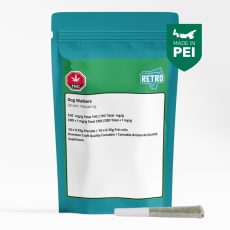 Retro The Dog Walker