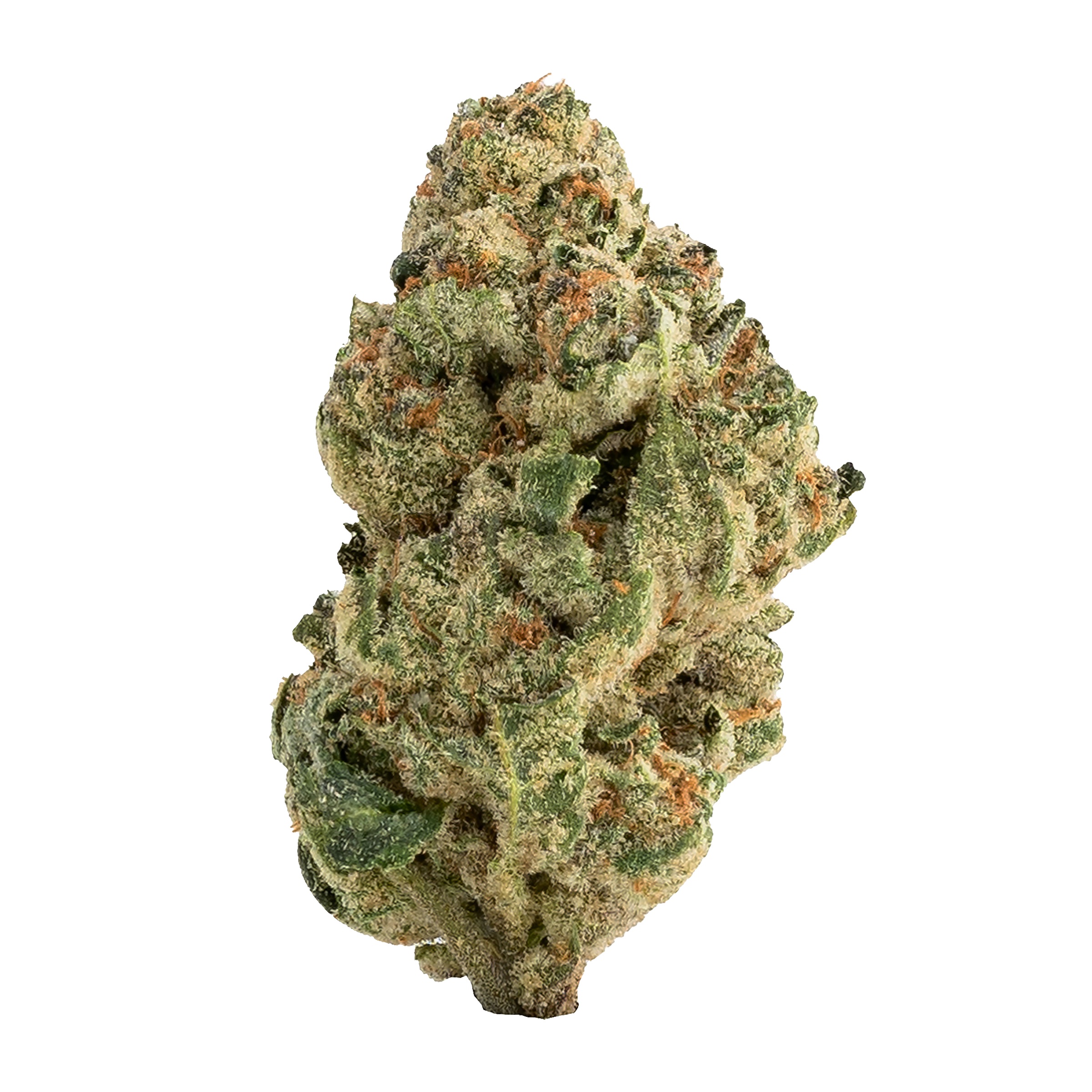 The Loud Plug Venom OG