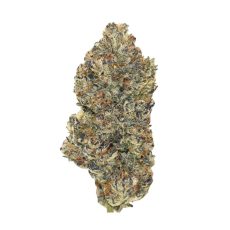 Ritual Green Blue Pave