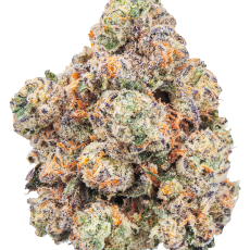 FOUR54 Lobster Royale