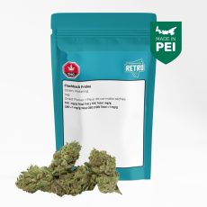 Retro Flashback Fridays