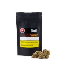 LEP SUMO Platinum Kush Breath