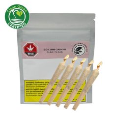 ECO Libre Classique Organic Kiwi Banana Cabana