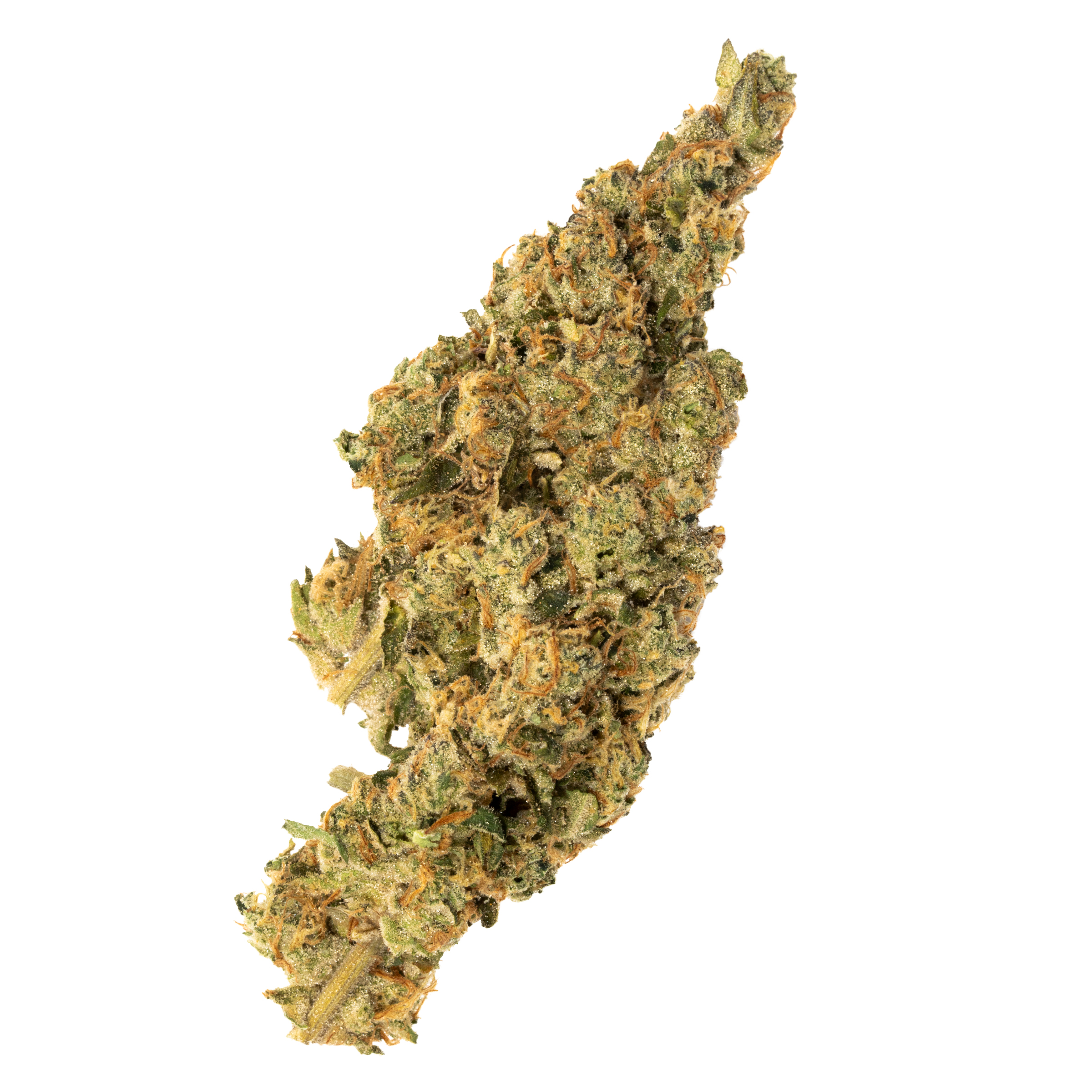 LEP Divvy Space Cake