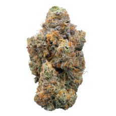 EastCann Permanent Marker