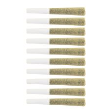 LEP The Loud Plug Exotic Gas Pre Roll