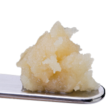 Sauce Rosin Labs Live Rosin Seasonal Sweet Exotics Pack