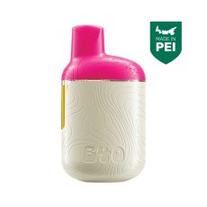 Back Forty Watermelon Ice AIO Vape