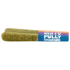 Spinach Fully Charged Fruit Surge Mixer Pack