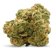 LEP Spinach Blue Thai