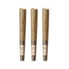 LEP Bold Orange Crush