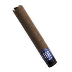 FIGR Midnight Sherb Premium Glass Tip Blunt