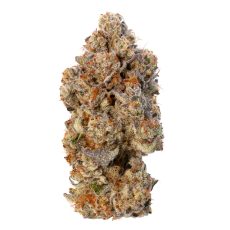 LEP EastCann Lemon Cherry Gelato